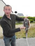 lamangouste Photo