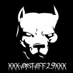 Amstaff29 Photo