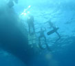 stage chasse-sous-marine.com