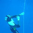 stage chasse-sous-marine.com