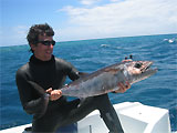 thon a dents de chien chasse sous-marine