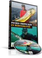 DVD P&ecirc;ches Tropicales