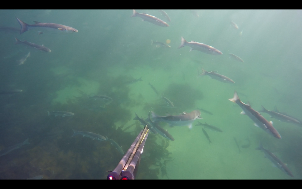 Capture d’écran 2018-09-29 à 22.14.57.png