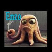 octopus enzo