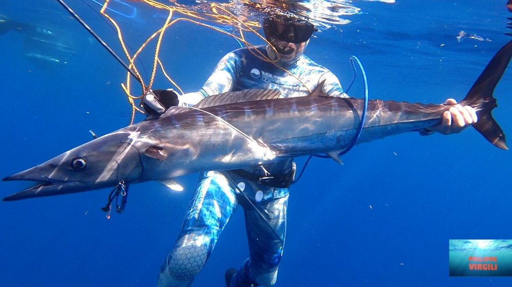 A 45 lb wahoo capture.jpg