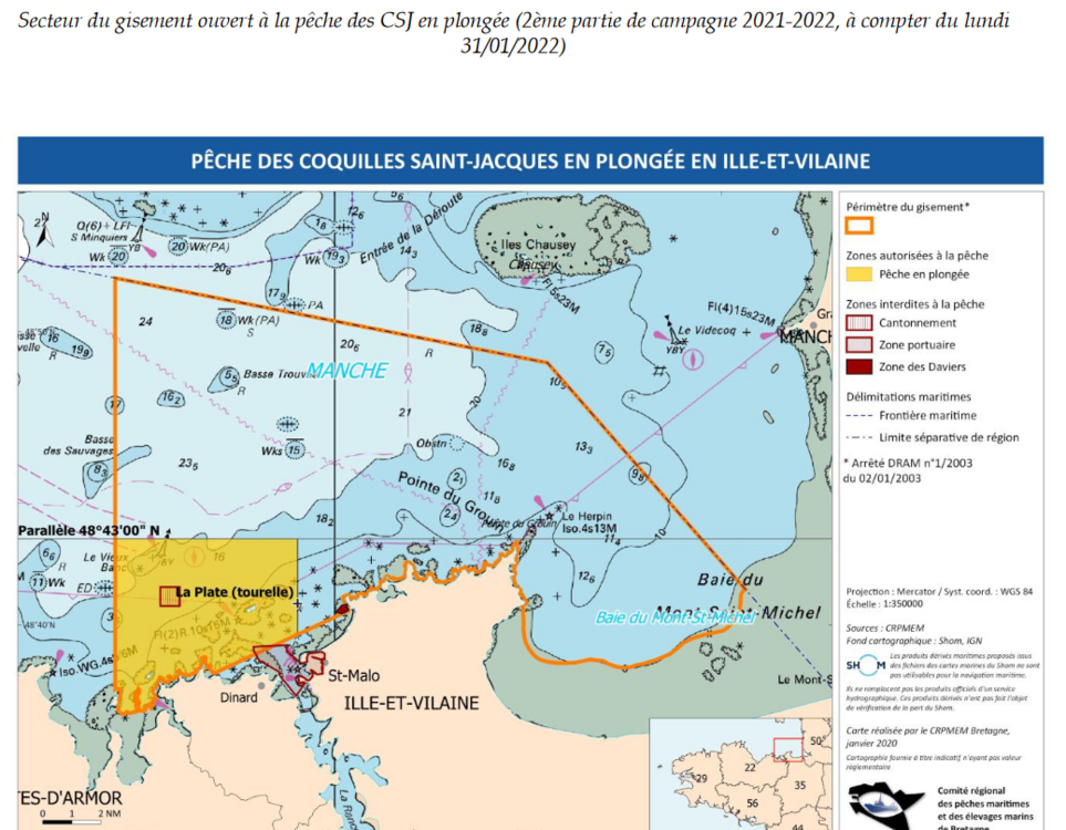 Capture d’écran 2022-02-22 184545.png