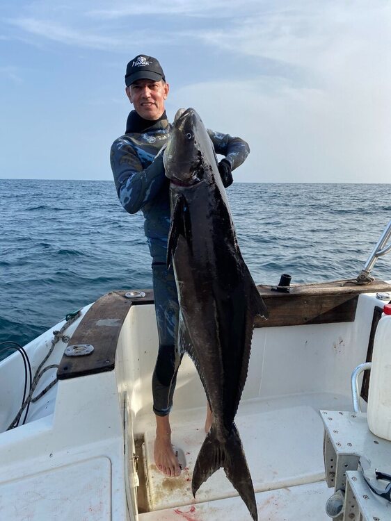 JC Cobia 40Kg 4.JPG