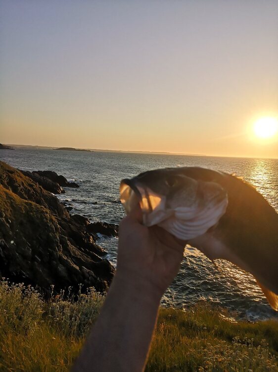 IMG_20230604_212149.jpg