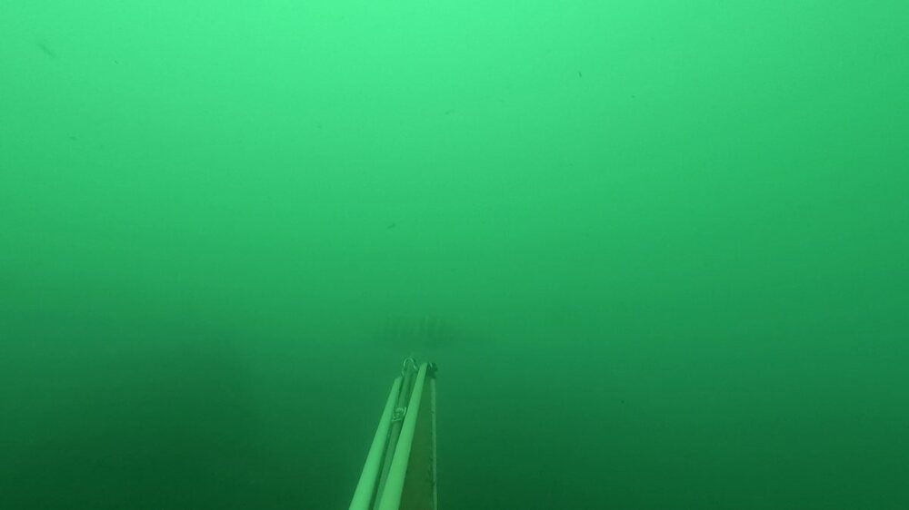 356770270_653179526713541_8310506456917655338_n.jpg