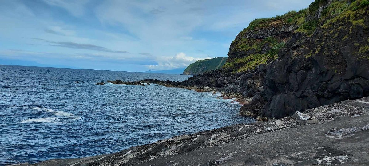 Spécial Pêche en Mer : Fritures et poissons sauve bredouille - Le chasseur  français