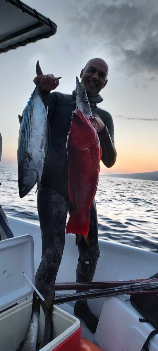 Spécial Pêche en Mer : Fritures et poissons sauve bredouille - Le chasseur  français