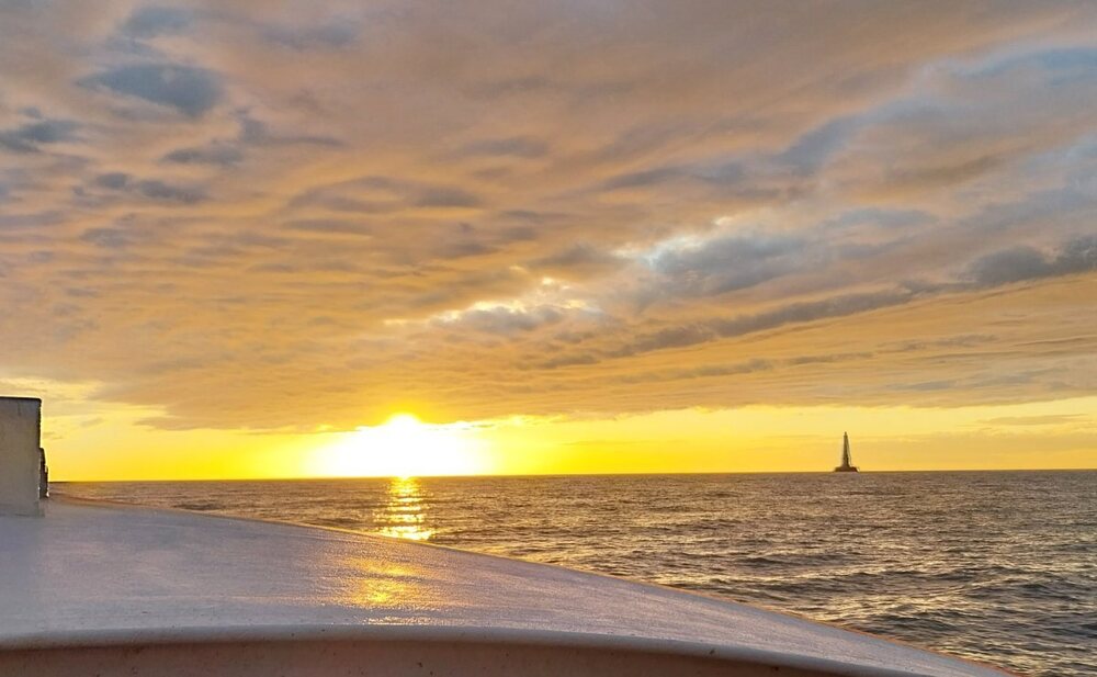 20241012_190648.jpg