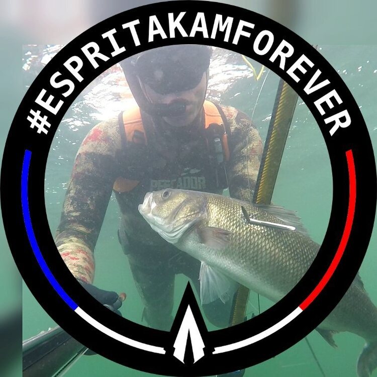 espritakamforever-45444a78-bf94-4fa6-9ebf-14df79b69b4c.jpg