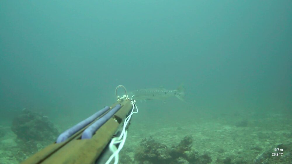 vlcsnap-2024-11-20-19h59m06s699.jpg
