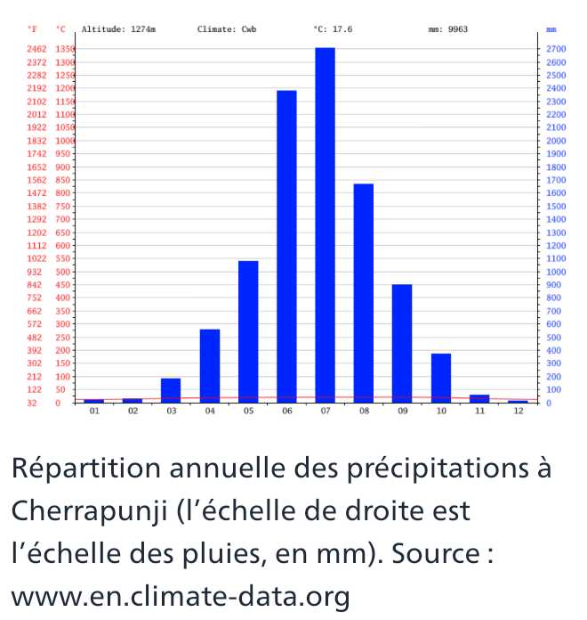 _20241212_064959.png.2cb21f8027bc6a1c9dc90e460c5df022.png