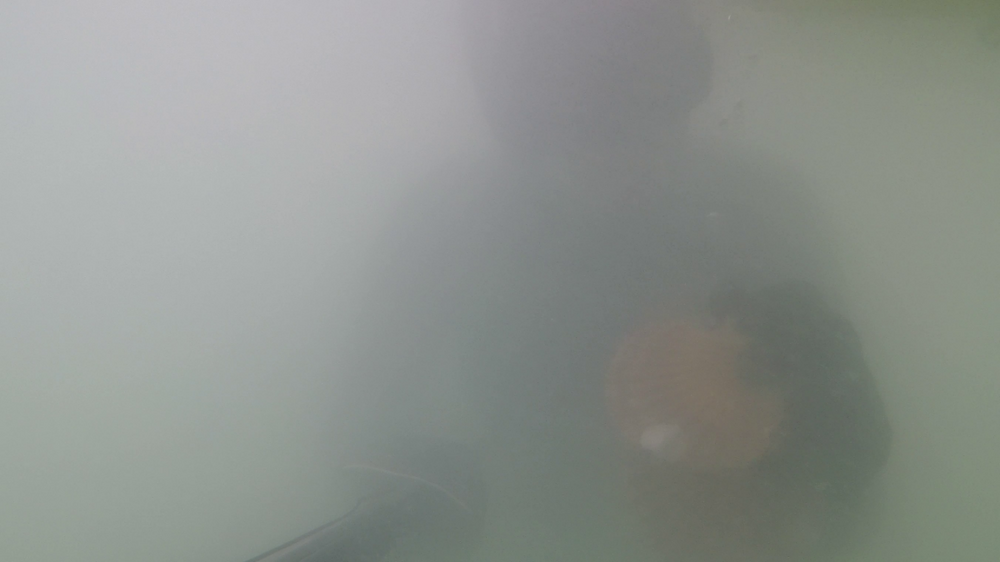 vlcsnap-2024-12-16-14h55m32s268.png