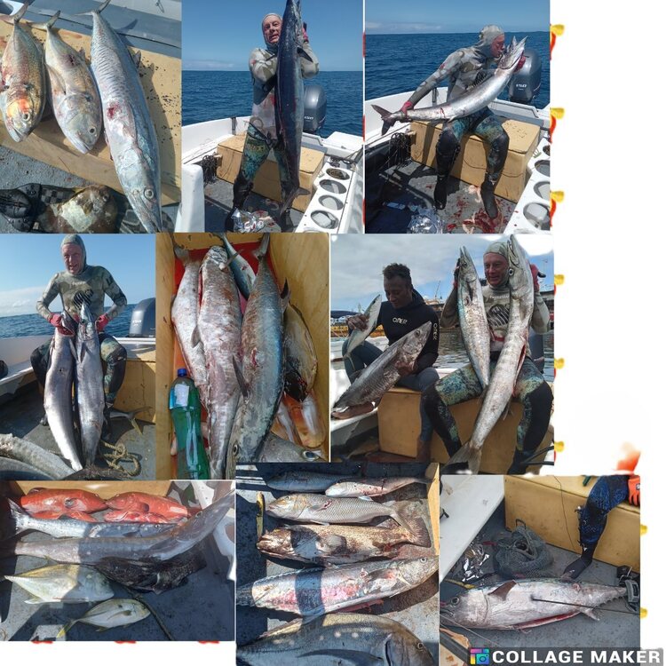 PhotoCollageMaker_2025_03_30_06_38_49.thumb.jpg.efb3d8a99c3a393d367f500dd073ee92.jpg
