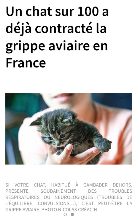 _20250317_095113.thumb.png.89e8ed515314de9d3effefc0f1dd6d7a.png