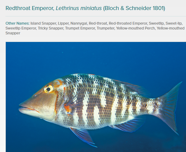image.png.f00e985d3c95d05d137451bfb0406f66.png
