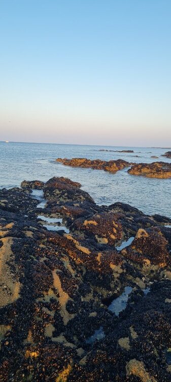 20250410_080314.jpg