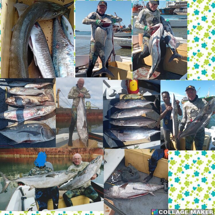 PhotoCollageMaker_2025_03_30_06_49_44.thumb.jpg.31d50c4dcf8edf2d07da401a061d3e28.jpg