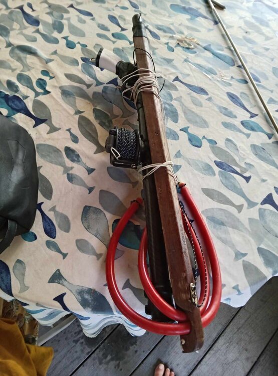 received_1342140407055268.jpeg