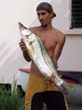 brochet de mer