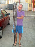 congre chasse-sous-marine.com