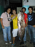 maigre chasse-sous-marine.com