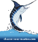 chasse sous-marine