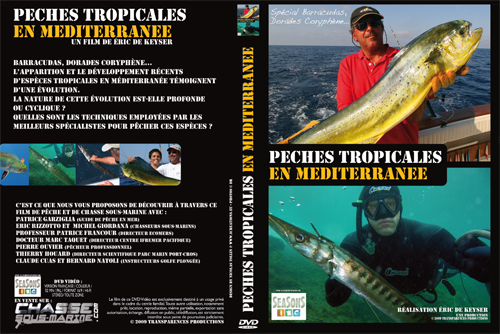 chasse sous-marine sur les &eacute;paves